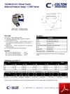 CT300Y Series | Balanced Pressure Thermostatic Steam Trap